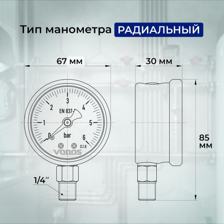 Манометр VODOS Y-60, RAD, 0-6 bar (G 1/4'')  глицериновый, в нержавеющем корпусе.  
